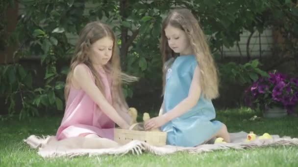 Leuke kleine blanke tweeling die buiten zit met eendjes. Portret van prachtige identieke zussen die samen op zomerdag rusten. Jeugd, schoonheid, vrije tijd, levensstijl, geluk. — Stockvideo