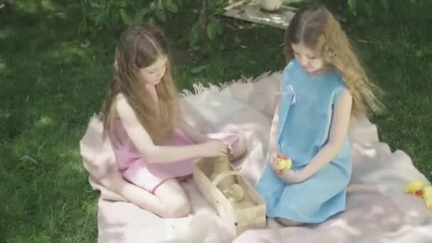 Vista superior de duas garotas bonitas brincando com patos e olhando para a câmera sorrindo. Retrato de encantadoras irmãs gêmeas caucasianas bonito posando ao ar livre no dia de verão com o vento soprando cabelo encaracolado. Alegria, lazer — Vídeo de Stock