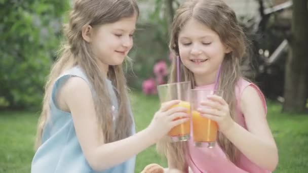 Sorridente bruna gemelle bicchieri di clinking e guardando la fotocamera come bere succo d'arancia all'aperto. Ritratto di affascinanti bambini caucasici che riposano con bevanda sana durante il picnic estivo. Tempo libero. — Video Stock