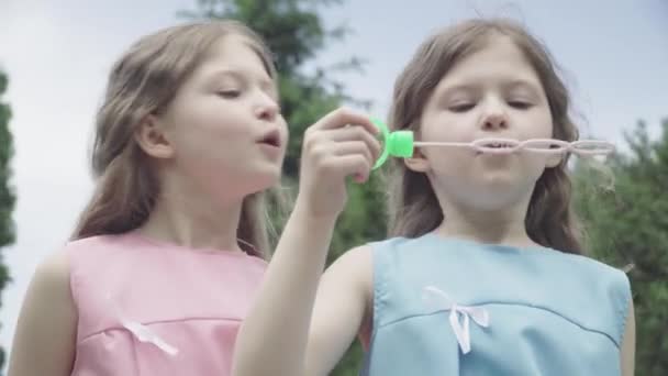 Close-up portret van twee identieke tweelingzussen blazen zeepbellen buiten op zomerdag. Leuke brunette Kaukasische meisjes spelen rust hebben plezier. Jeugd, vrije tijd, levensstijl. — Stockvideo