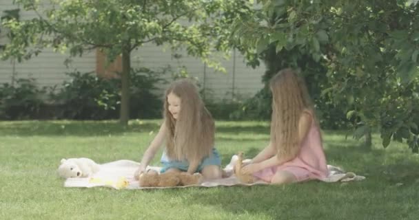 Große Aufnahme von zwei brünetten Mädchen in Kleidern, die draußen mit Ente spielen. Porträt fröhlicher Zwillingsschwestern beim Picknick an einem sonnigen Sommertag. Freude, Freizeit, Lebensstil, Kindheit. Cinema 4k ProRes Hauptquartier. — Stockvideo