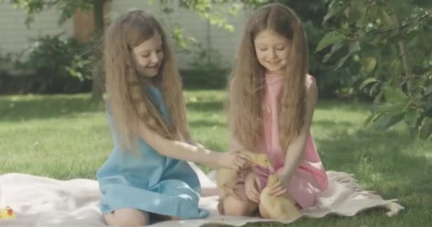 Veselá dvojčata, co dělají kachničky na polibky. Portrét bělošských sourozenců hrajících si venku s ptáky v letní den. Volný čas, relaxace, dětství, zábava, radost. Cinema 4k ProRes HQ. — Stock video