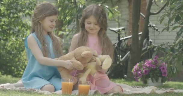 Güzel ikiz kardeşler dışarıda oyuncak ayı ve oyuncak tavşanla oynuyorlar. Güneşli yaz gününde dinlenen ve gülümseyen beyaz kızların portresi. Eğlence, eğlence, çocukluk. Sinema 4k ProRes Merkezi. — Stok video
