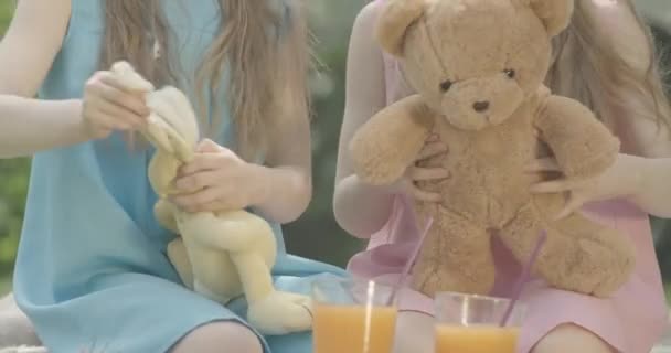 Close-up of unrecognizable Caucasian twin sisters playing with toys outdoors. Siblings having fun with teddy bear and rabbit on sunny summer meadow. Cinema 4k ProRes HQ. — Stock Video