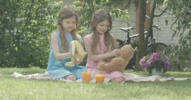 Portrait of charming happy twin sisters playing with soft toys on backyard. Caucasian brunette girls resting on sunny day outdoors. Childhood, joy. Cinema 4k ProRes HQ. — Stock Video