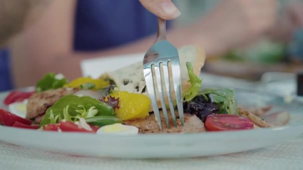 Eine unkenntliche Frau nimmt Geflügelfleisch und Tomaten zu sich. Weibliche Hand schneidet Gericht mit Messer in Restaurant. Köstliche gesunde Ernährung, Ernährung, Lebensstil. — Stockvideo