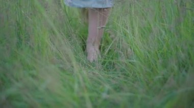 Yeşil yaz çimlerinde yürüyen ve retro elbisesiyle kamerayı kapatan, tanınmayan çıplak ayaklı beyaz kadın. Dışarıda parkta gezinen genç bir kızın ayakları. Güzellik ve doğa kavramı.