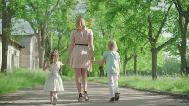 Vista trasera de la joven madre rubia caucásica caminando con dos niños a lo largo del callejón en el parque. Amplia toma de feliz familia caucásica paseando al aire libre en el soleado día de verano. Estilo de vida, unidad . — Vídeos de Stock