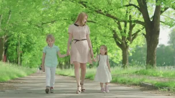 Amplia toma de madre joven positiva paseando al aire libre con los niños. Linda niña y niño tomados de la mano de los padres y caminando por el callejón en el soleado parque de verano. Alegría, estilo de vida, infancia . — Vídeos de Stock