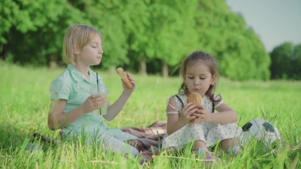 Porträt zweier charmanter Kinder, die auf einer sonnigen Sommerwiese Croissants essen und Saft trinken. Blonder kaukasischer Junge und hübsches brünettes Mädchen genießen den Tag im Freien. Kindheit, Freizeit, Freude. — Stockvideo