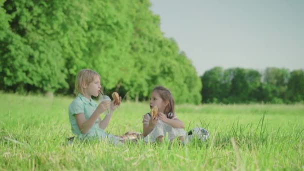 Brett fotograferat porträtt av charmiga vita bror och syster vilar på solig dag på grön äng. Blond pojke och brunett flicka sitter utomhus och äter välsmakande croissanter med juice. — Stockvideo