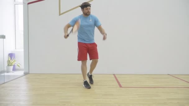 Brett skott av stark kaukasisk mellanvuxen idrottsman utbildning i gym. Porträtt av brunett skäggig atletisk man utövar inomhus. Självsäker koncentrerad kille spelar squash racket och boll sport. — Stockvideo
