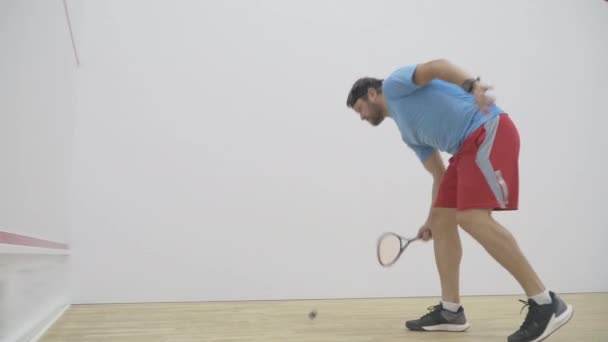 Dospělý kavkazský sportovec cvičí squash v interiéru. Kamera se blíží k soustředěnému sebevědomému bělochovi, který v tělocvičně odpaluje míček raketou. Koncept fitness, zdravého životního stylu, sportu. — Stock video