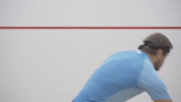 Tiro medio de morena barbuda hombre caucásico golpeando pelota de squash contra la pared. Retrato de vista lateral de deportista adulto medio confiado usando raqueta para jugar juego de deporte en el gimnasio en interiores . — Vídeos de Stock