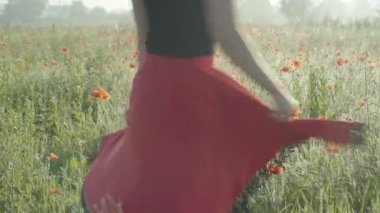 Kırmızı etekli, tanınmayacak kadar zayıf bir kadın açık havada güneşli çayırlarda dönüyor. Beyaz bir bayan gelincik tarlasında yaz gününün tadını çıkarıyor. Neşeli kadın gün ışığında seviniyor..