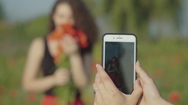 Vrouwelijke handen houden smartphone opname video van mooie slanke blanke vrouw poseren met boeket van rode wilde bloemen op groene zomerweide. Model op veld van klaprozen op zonnige dag. — Stockvideo