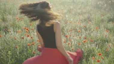 Neşeli genç kadın güneşli yaz gününde haşhaş tarlasında dönüyor. Kıvırcık saçlı, kırmızı etekli, siyah bluzlu, açık havada eğlenen güzel beyaz kadın portresi..