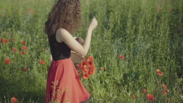 Pozitivní mladá běloška kráčí se slaměným košem na květinovém poli a trhá červené máky. Okouzlující romantická dáma procházející se venku za slunečného letního dne. Žena sbírá kytice. — Stock video