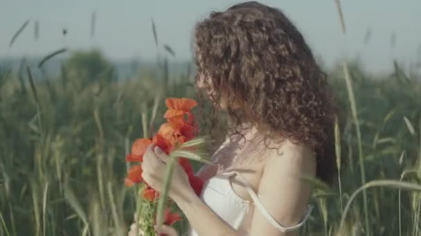 Middle shot of sensual slim woman posing with bouquet of red flowers on green summer field. Portrait of beautiful Caucasian lady in white dress smelling poppies outdoors on sunny day. — Stock Video