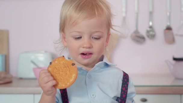 可爱的小男孩吃甜饼干的特写。可爱的金发白人小孩嚼着饼干，用灰色的眼睛看着相机。美与童年的概念. — 图库视频影像