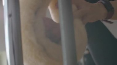 Tanınmayan sporcu kadın, çıplak ayakla pilates yapıyor. Canlı kamera, spor salonunda aktif ve sağlıklı beyaz kadın eğitimini takip ediyor..