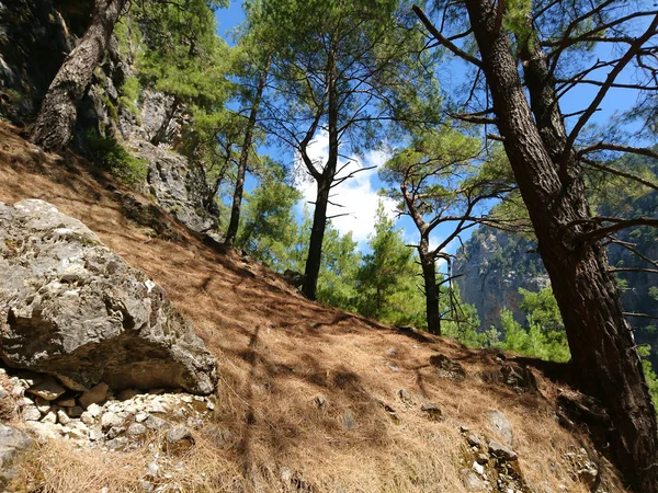 Hiking Samaria Gorge Hot Summer Day — Stock Photo, Image