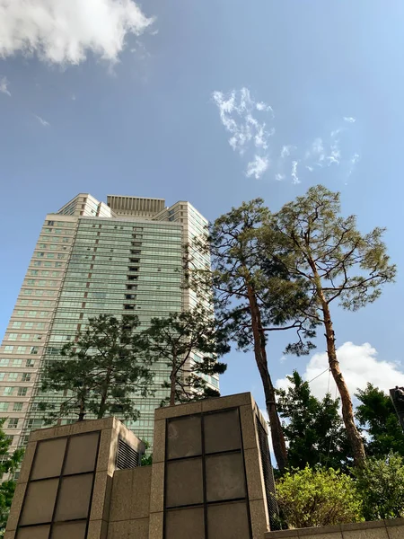 Wieża bulidind, drzewo i tło nieba — Zdjęcie stockowe