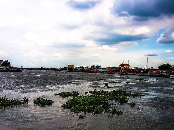 De grote rivier, waterhyacint en blauwe hemel achtergrond — Stockfoto