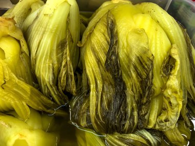 Salamura sebze veya Çin turşusu marul