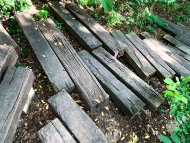 ahşap kütük ile yapılan yürüyüş yolu