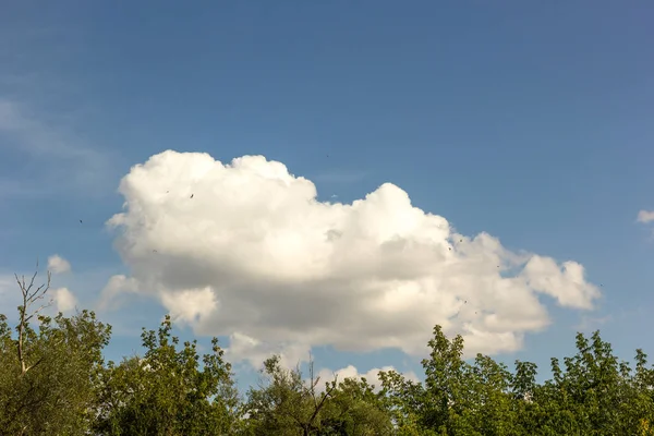 Nuvens — Fotografia de Stock