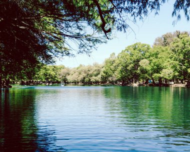 üzerinde küçük bir tekne ile büyük nehir, her nehir üzerinde büyük ağaçlar 
