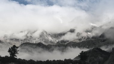 Kobang, Nepal çam ormanı ile karlı dağ. renksiz sesi.