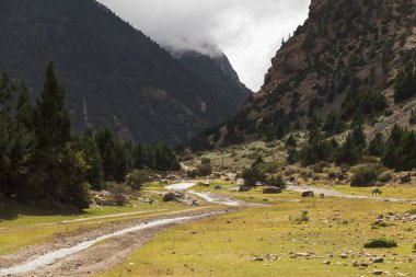 Himalaya dağlarında, Annapurna aralığı, Nepal manzara.