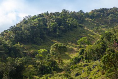 Manzaralı alanının Chiang dao dağ, Chiang mai, Tayland.