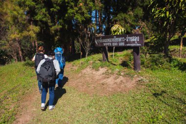 Chiang Mai, Tayland - 6 Aralık 2015: Traveller başlatmak 6 Aralık 2015 Chiang mai, Tayland Doi Luang Chiang Dao dağının zirve yürüyüşü.