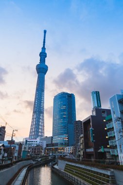 Tokyo, Japonya - 28 Mart: Twitlight Tokyo Skytree kulede zaman Mar 28,2016 içinde Tokyo Japonya.