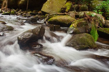 Phu Soi Dao şelale kış sezonu itibariyle Phu Soi Dao Milli Parkı, Tayland.