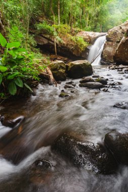 Phu Soi Dao şelale kış sezonu itibariyle Phu Soi Dao Milli Parkı, Tayland.