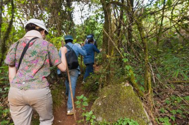Doi Luang Chiang Dao dağda yürüyüş yolcu. Chiang mai, Tayland.