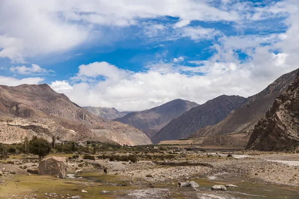 Landschap Het Himalaya Gebergte Annapurna Bereik Nepal — Stockfoto