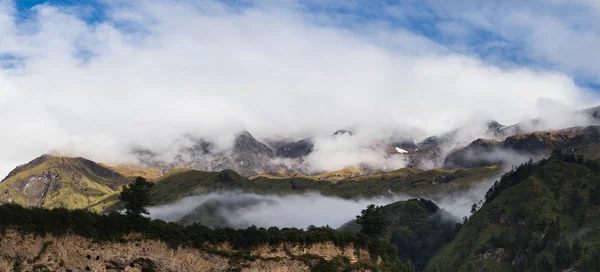 Bosque Montaña Con Niebla — Foto de Stock
