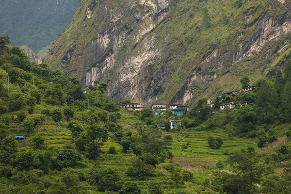 Pola Uprawne Wioski Okolicy Annapurna Nepal — Zdjęcie stockowe