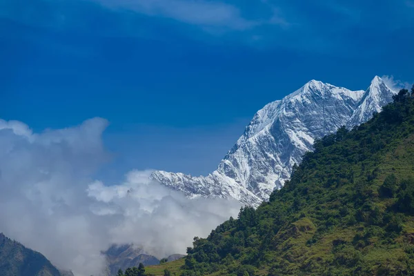 Paisaje Alpino Con Bosque Zona Annapurna Nepal — Foto de Stock