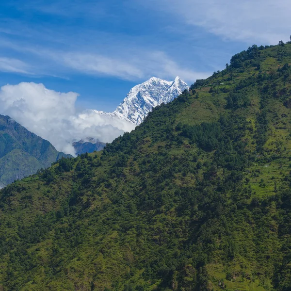 Paisagem Alpina Com Floresta Área Annapurna Nepal — Fotografia de Stock