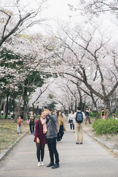 Osaka Japan March Unidentified People Coming See Cherry Blossoms Flower — Stock Photo, Image