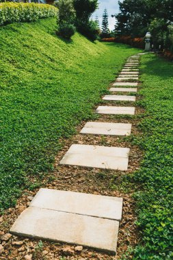 Parkta yeşil çimile taş geçit.