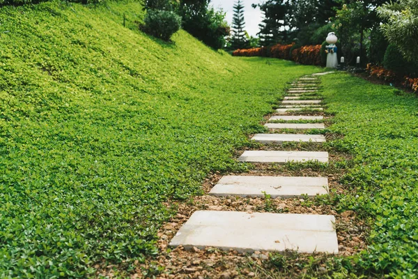 Passarela Pedra Com Grama Verde Parque — Fotografia de Stock