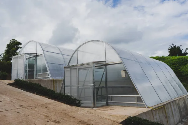 Greenhouse Hill Cloudy Sky — Stock Photo, Image