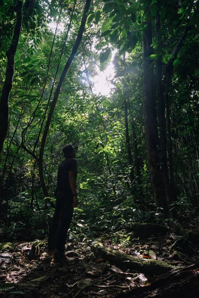 Hala-Bala vahşi yaşam sığınağının yağmur ormanlarında duran adam, 